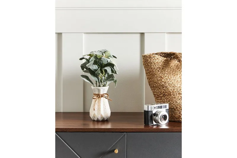 Konstgjord växt Peperomia Argyreia - Inredning & dekor - Dekor & inredningsdetaljer - Konstgjorda växter