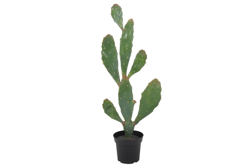 AGUIMES Konstgjord Växt Kaktus Grön - Konstgjorda växter