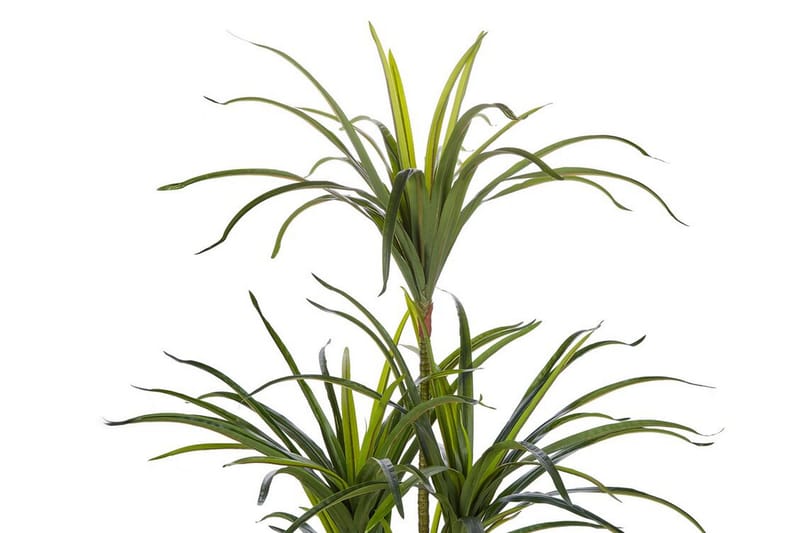 ARRDEN Konstgjord Krukväxt 147 cm Dracaena anita Grön - Konstgjorda växter