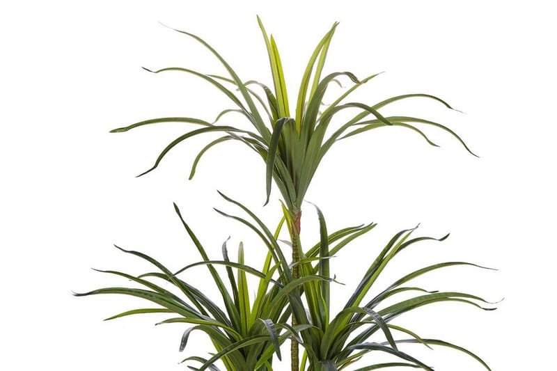 Berden Konstgjord Krukväxt 147 cm Dracaena anita - Grön - Inredning & dekor - Dekor & inredningsdetaljer - Konstgjorda växter