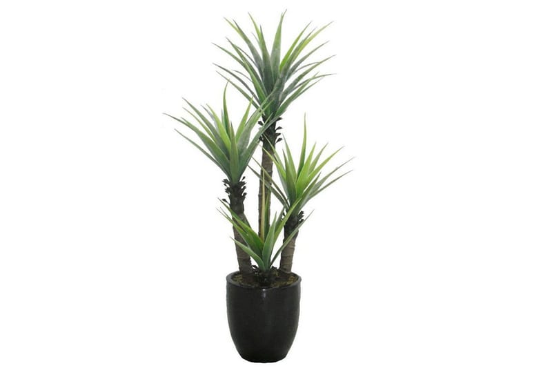 DRACENA Konstgjord Växt  165cm - Konstgjorda växter