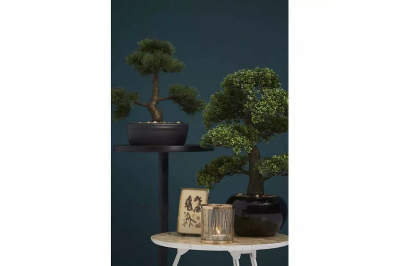 Emerald Konstväxt bonsaiträd fikus mini grön 47 cm 420006 - Inredning & dekor - Dekor & inredningsdetaljer - Konstgjorda växter