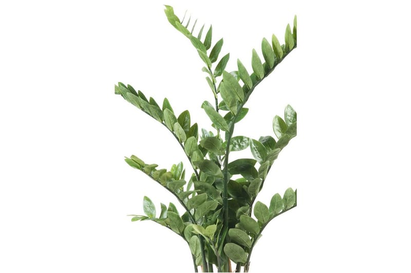 Emerald Konstväxt garderobsblomma grön 110 cm 11.662C - Inredning & dekor - Dekor & inredningsdetaljer - Konstgjorda växter