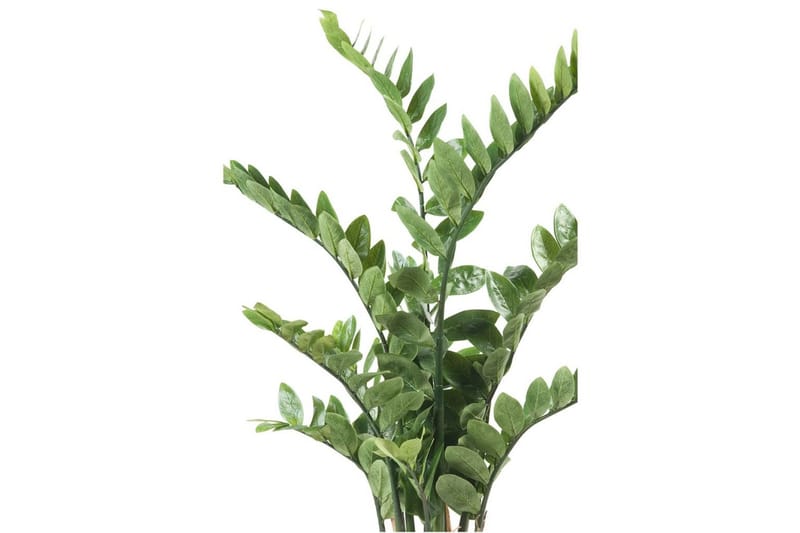 Emerald Konstväxt garderobsblomma grön 110 cm 11.662C - Konstgjorda växter