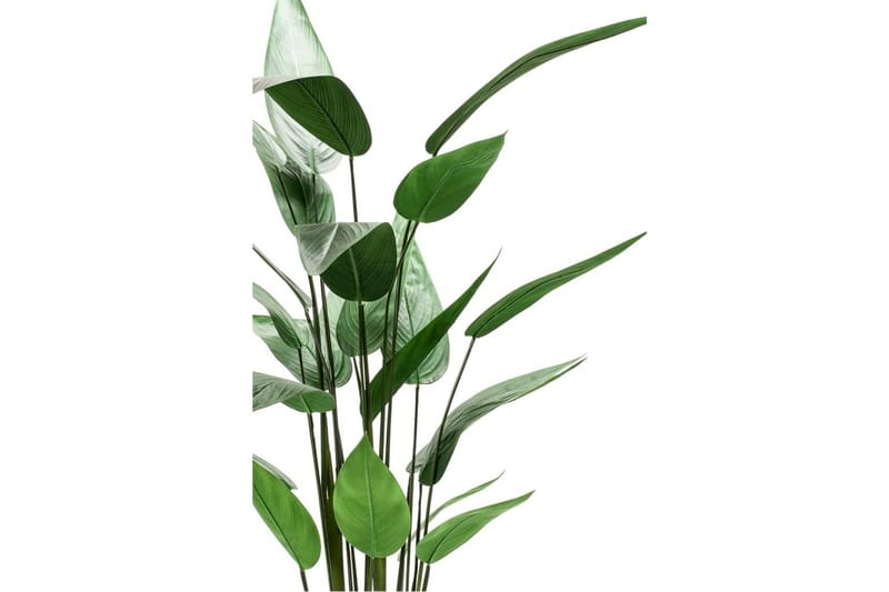 Emerald Konstväxt Heliconia grön 125 cm 419837 - Konstgjorda växter