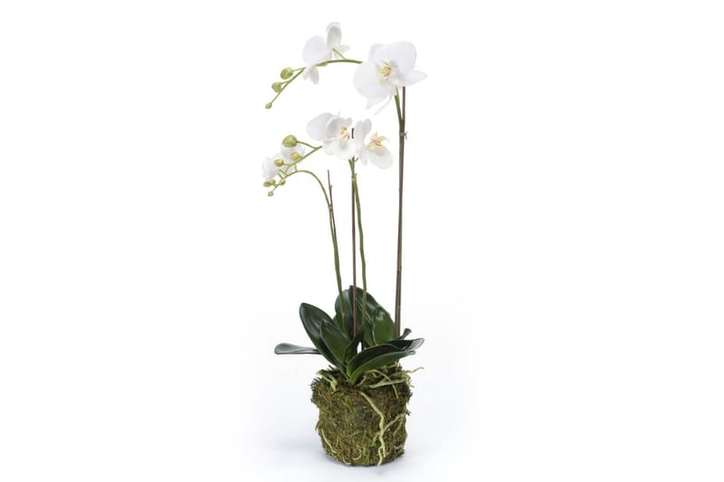 Emerald Konstväxt orkidé 70 cm vit - Konstgjorda växter