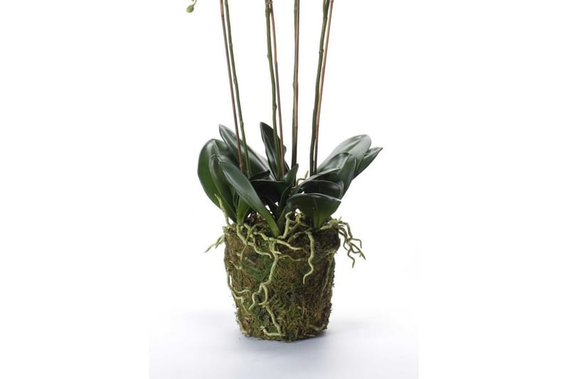 Emerald Konstväxt orkidé m. mossa vit 90 cm 20.355 - Inredning & dekor - Dekor & inredningsdetaljer - Konstgjorda växter