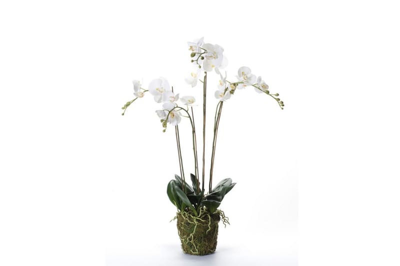 Emerald Konstväxt orkidé m. mossa vit 90 cm 20.355 - Inredning & dekor - Dekor & inredningsdetaljer - Konstgjorda växter