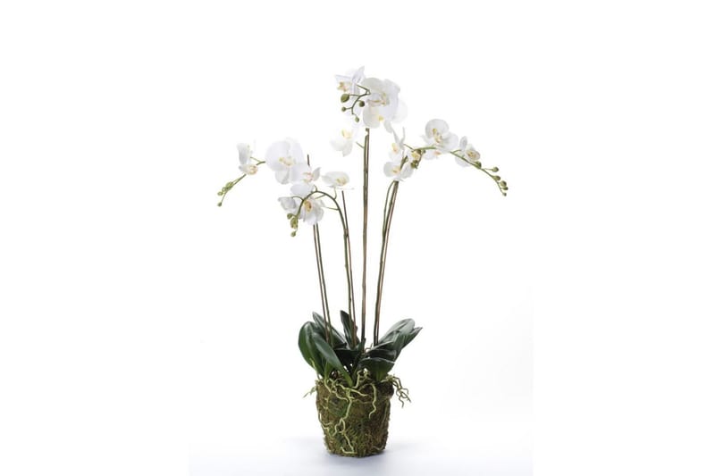 Emerald Konstväxt orkidé m. mossa vit 90 cm 20.355 - Konstgjorda växter
