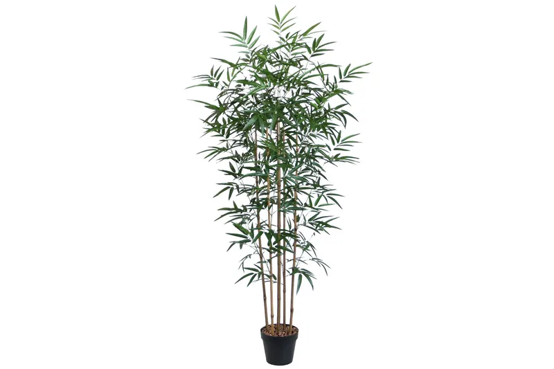 Grön växt BAMBOO H150cm 5 grenar svart kruka