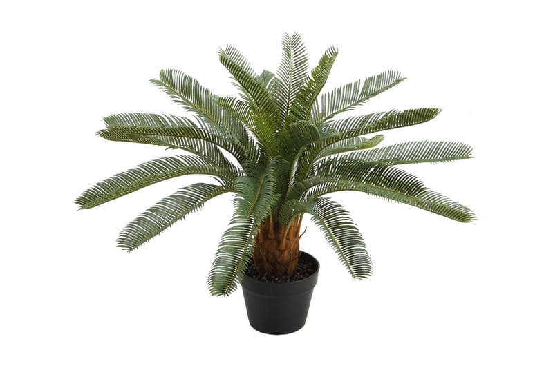 Grön växt CYCAS H70cm svart kruka - Konstgjorda växter