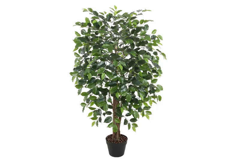 Grön Växt Ficus H120 cm 1 Gren Svart Kruka