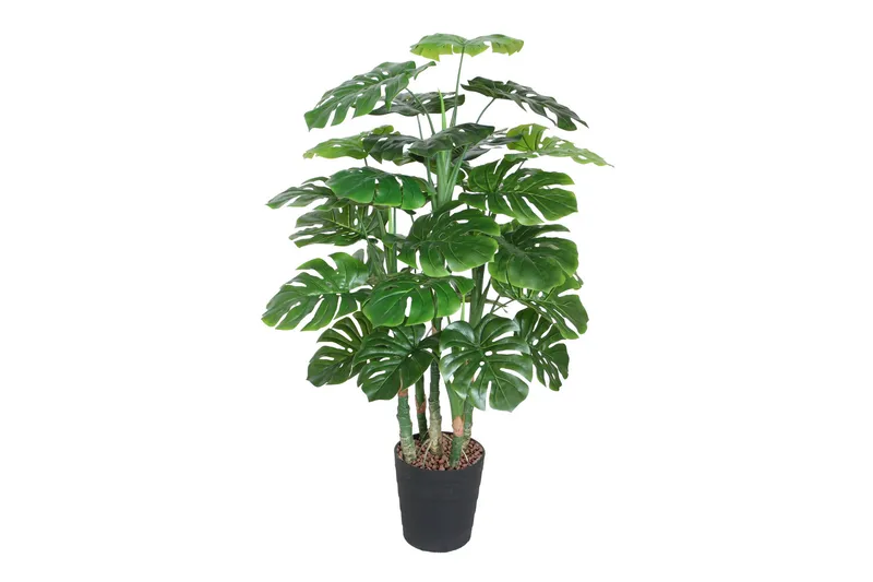 Grön Växt Monstera H120 cm 5 Grenar Svart Kruka