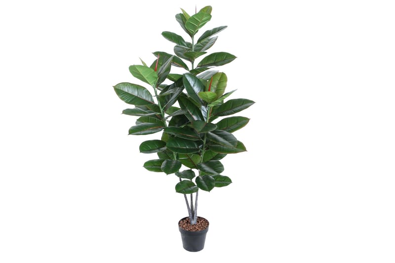 Grön Växt Rubberplant H130 cm 3 Grenar - Konstgjorda växter