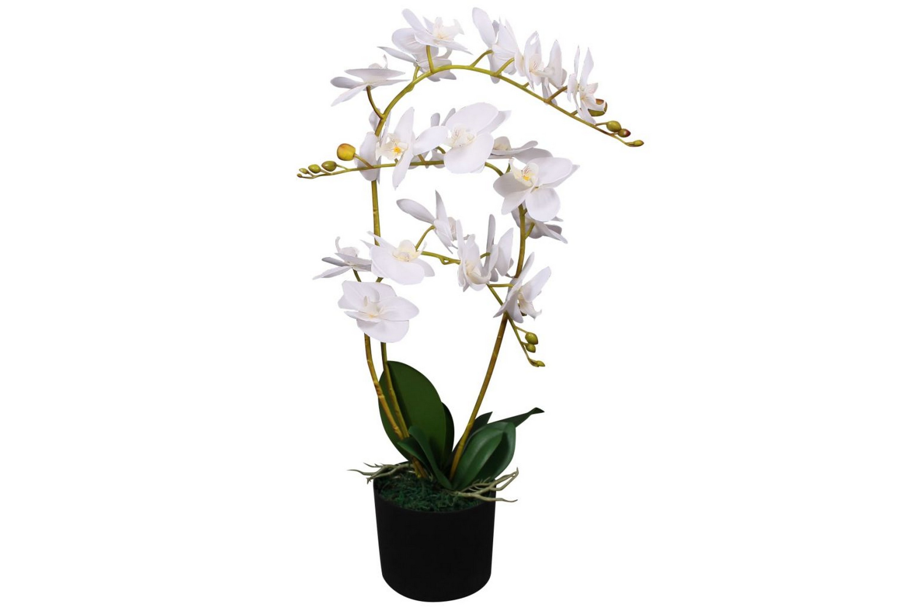 Konstväxt Orkidé med kruka 65 cm vit – Vit