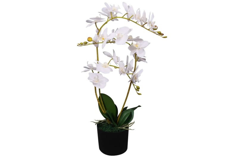 Konstväxt Orkidé med kruka 65 cm vit - Vit - Konstgjorda växter