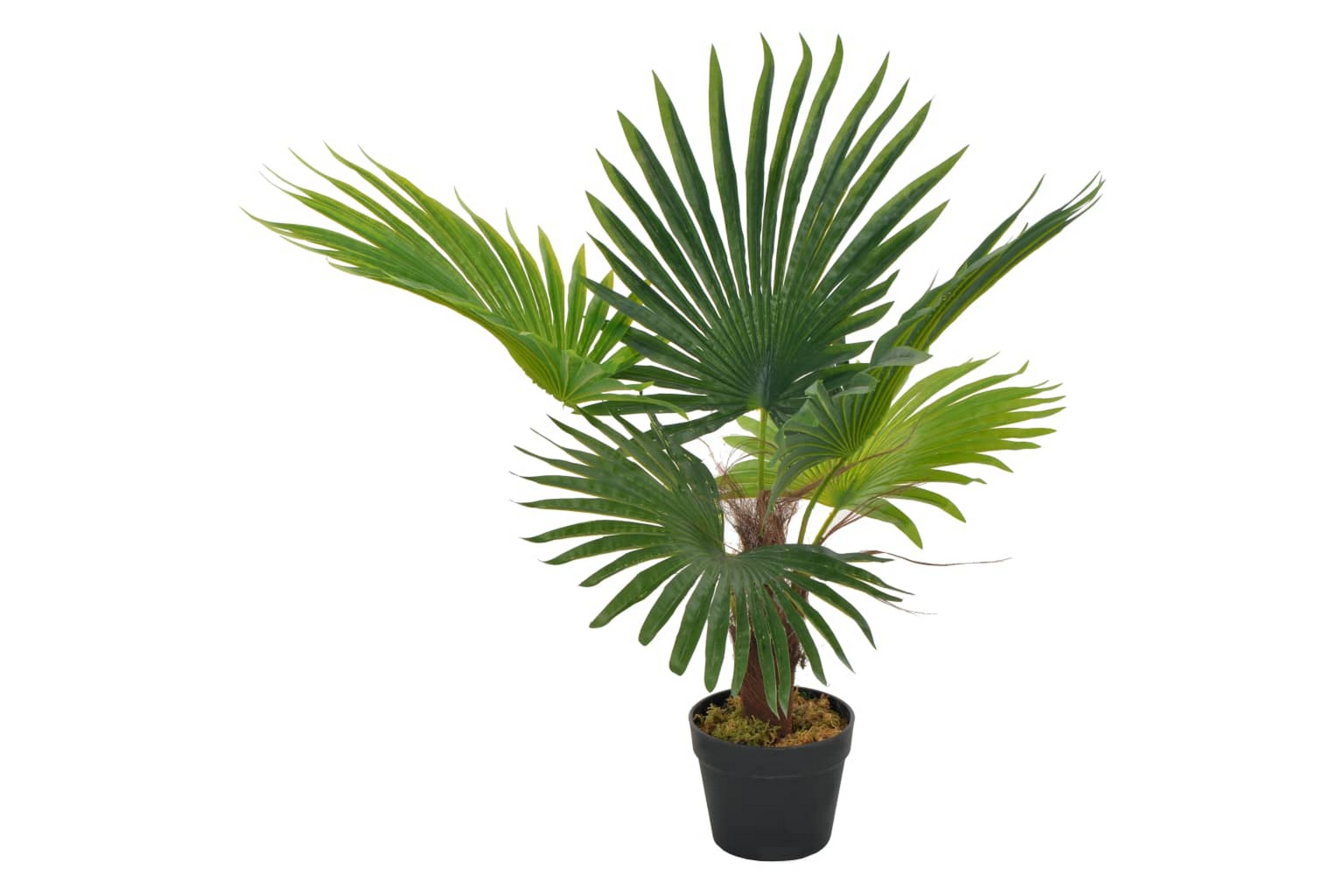 Konstväxt Palm med kruka 70 cm grön – Grön