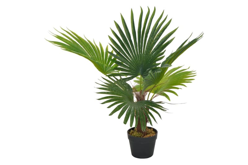 Konstväxt Palm med kruka 70 cm grön - Grön - Konstgjorda växter