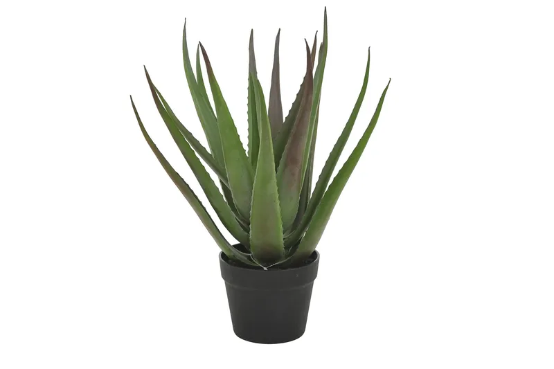 Piscode Konstgjord Växt Aloevera 50 cm - Grön - Inredning & dekor - Dekor & inredningsdetaljer - Konstgjorda växter
