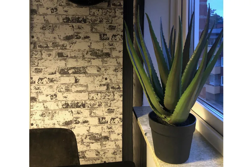 Piscode Konstgjord Växt Aloevera 50 cm - Grön - Inredning & dekor - Dekor & inredningsdetaljer - Konstgjorda växter