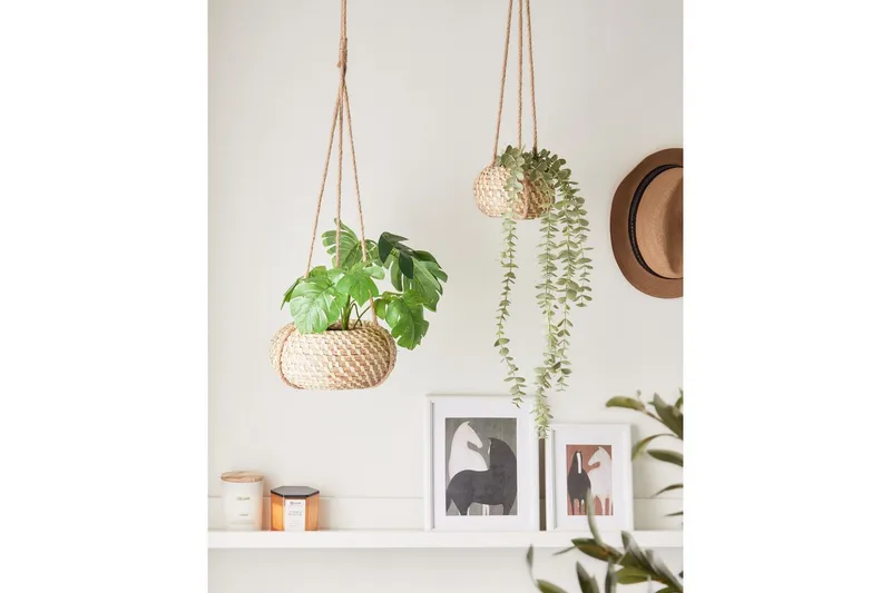 Inomhuskruka Remora set om 2 - Inredning & dekor - Dekor & inredningsdetaljer - Kruka & ytterkruka - Ampel kruka