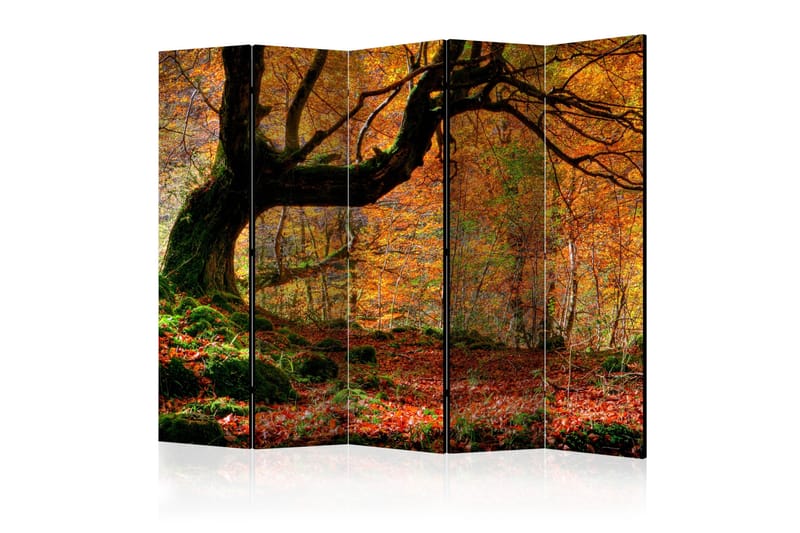 AUTUMN FOREST AND LEAVES Rumsavdelare 225x172 cm - Artgeist sp. z o. o. - Inredning & dekor - Dekor & inredningsdetaljer - Rumsavdelare