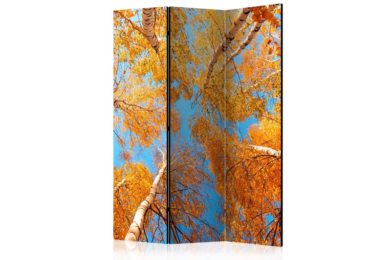 AUTUMNAL TREETOPS Rumsavdelare 135x172 cm, Artgeist sp. z o. o.