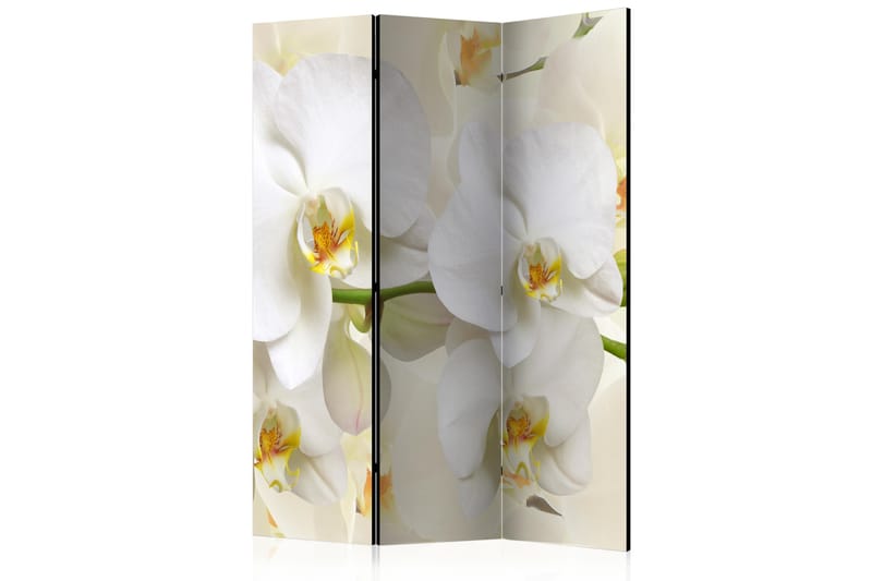 BEATTY Rumsavdelare 135x172 cm - Artgeist sp. z o. o. - Inredning & dekor - Dekor & inredningsdetaljer - Rumsavdelare