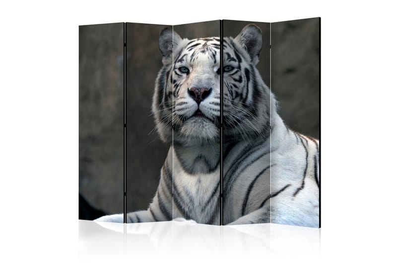BENGALI TIGER IN ZOO Rumsavdelare 225x172 cm - Artgeist sp. z o. o. - Inredning & dekor - Dekor & inredningsdetaljer - Rumsavdelare