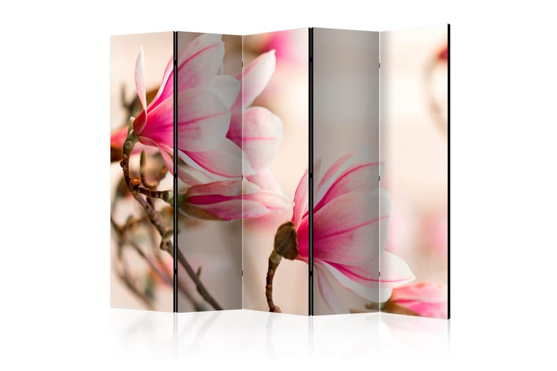BRANCH OF MAGNOLIA TREE Rumsavdelare 225x172 cm, Artgeist sp. z o. o.