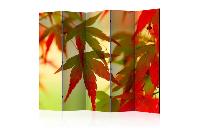 Rumsavdelare - Colourful leaves II 225x172, Artgeist sp. z o. o.