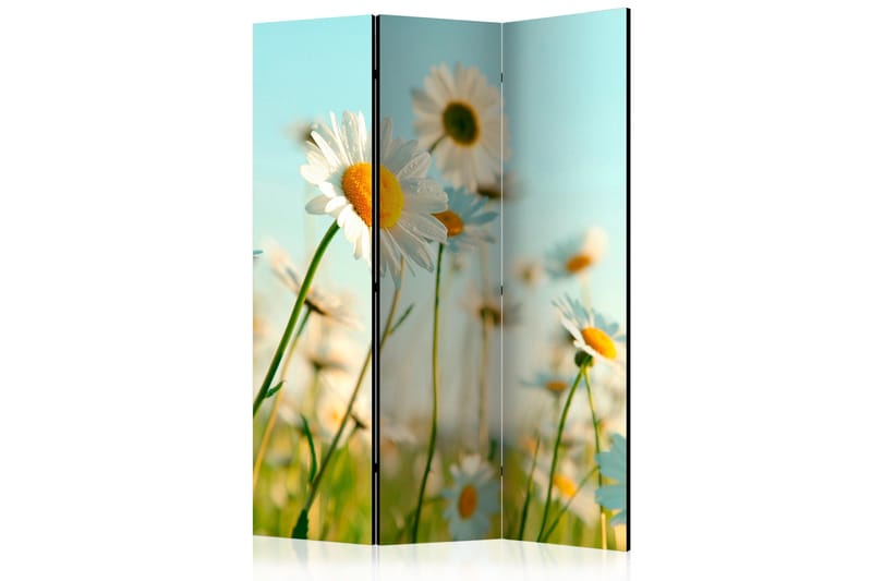 Rumsavdelare - Daisies - spring meadow 135x172, Artgeist sp. z o. o.