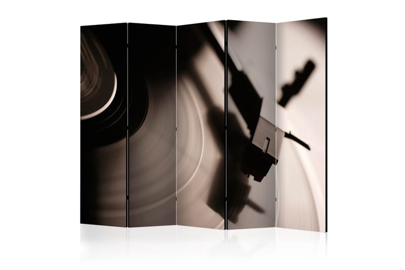 GRAMOPHONE AND VINYL RECORD Rumsavdelare 225x172 cm - Artgeist sp. z o. o. - Rumsavdelare