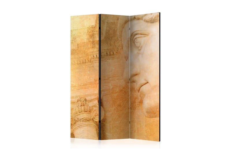 GREEK GOD Rumsavdelare 135x172 cm - Artgeist sp. z o. o. - Inredning & dekor - Dekor & inredningsdetaljer - Rumsavdelare
