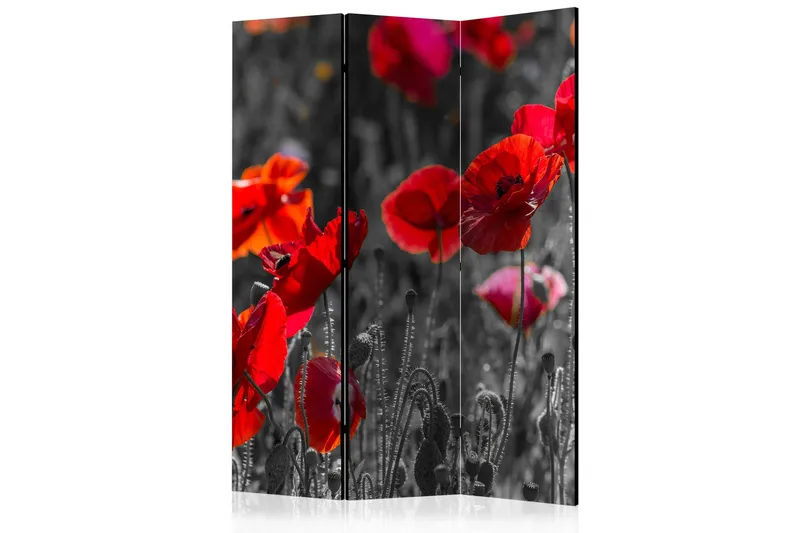 Kadira Rumsavdelare 135x172 cm