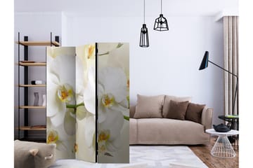 Kadira Rumsavdelare 135x172 cm - Inredning & dekor - Dekor & inredningsdetaljer - Rumsavdelare