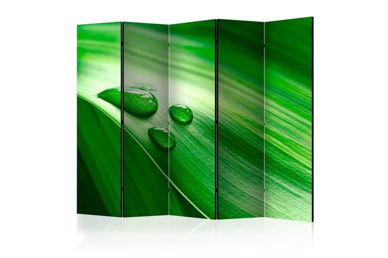 Rumsavdelare - Leaf and three drops of water II 225x172 - Artgeist sp. z o. o. - Inredning & dekor - Dekor & inredningsdetaljer - Rumsavdelare