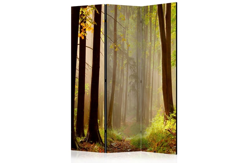 MYSTERIOUS FOREST PATH Rumsavdelare 135x172 cm - Artgeist sp. z o. o. - Inredning & dekor - Dekor & inredningsdetaljer - Rumsavdelare
