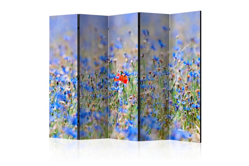 RUMSAVDELARE A Sky-Colored Meadow 225x172 cm - Artgeist sp. z o. o. - Rumsavdelare