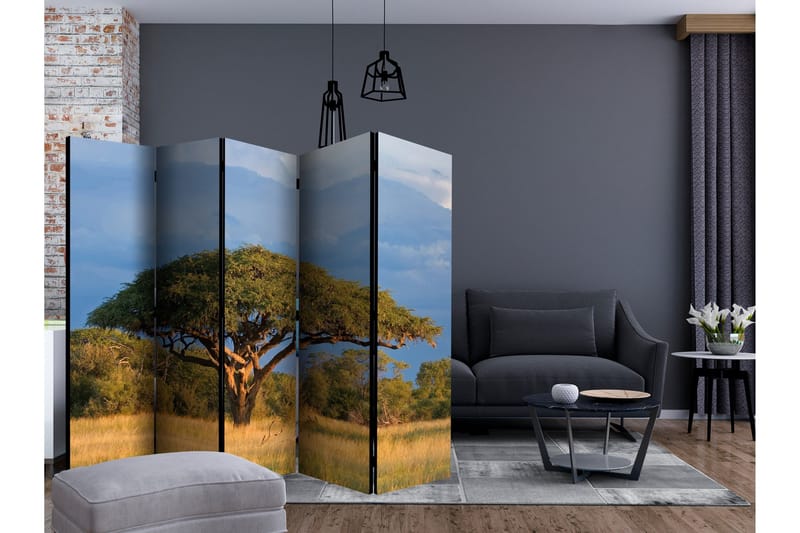 Rumsavdelare - African acacia tree, Hwange 225x172 - Artgeist sp. z o. o. - Inredning & dekor - Dekor & inredningsdetaljer - Rumsavdelare