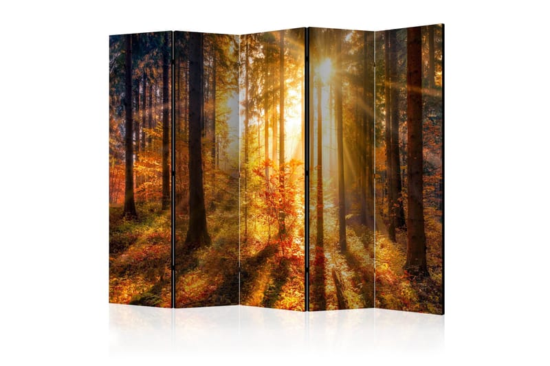 Rumsavdelare - Autumn Awakening II 225x172, Artgeist sp. z o. o.