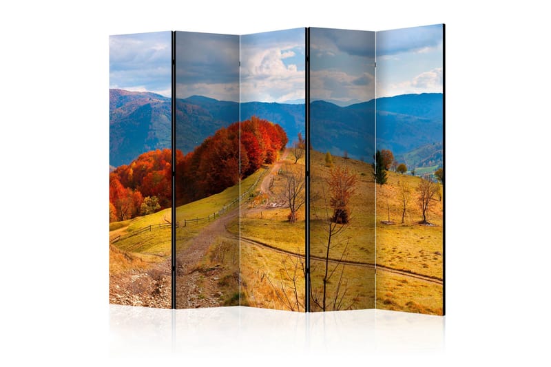 Rumsavdelare - Autumn landscape in the Carpathian 225x172, Artgeist sp. z o. o.