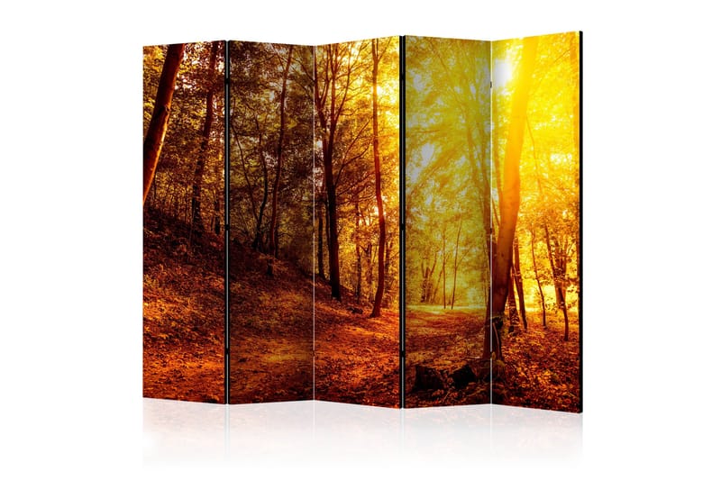 Rumsavdelare - Autumn Walk II 225x172, Artgeist sp. z o. o.