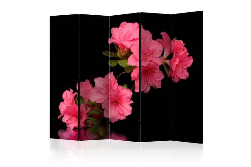 RUMSAVDELARE Azalea in Black II 225x172 cm - Artgeist sp. z o. o. - Rumsavdelare