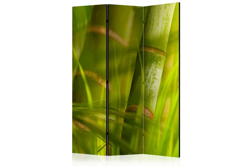 RUMSAVDELARE Bamboo - Nature Zen 135x172 cm - Artgeist sp. z o. o. - Inredning & dekor - Dekor & inredningsdetaljer - Rumsavdelare
