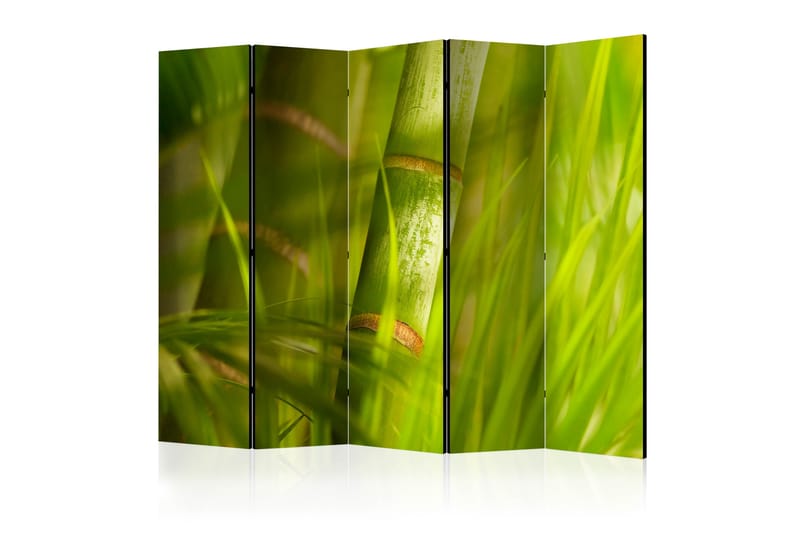 RUMSAVDELARE Bamboo - Nature Zen II 225x172 cm - Artgeist sp. z o. o. - Rumsavdelare