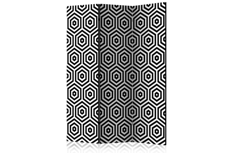 RUMSAVDELARE Black and White Hypnosis 135x172 cm - Artgeist sp. z o. o. - Rumsavdelare