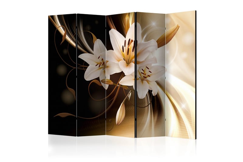 Rumsavdelare Circle Of Light 225x172, Artgeist sp. z o. o.