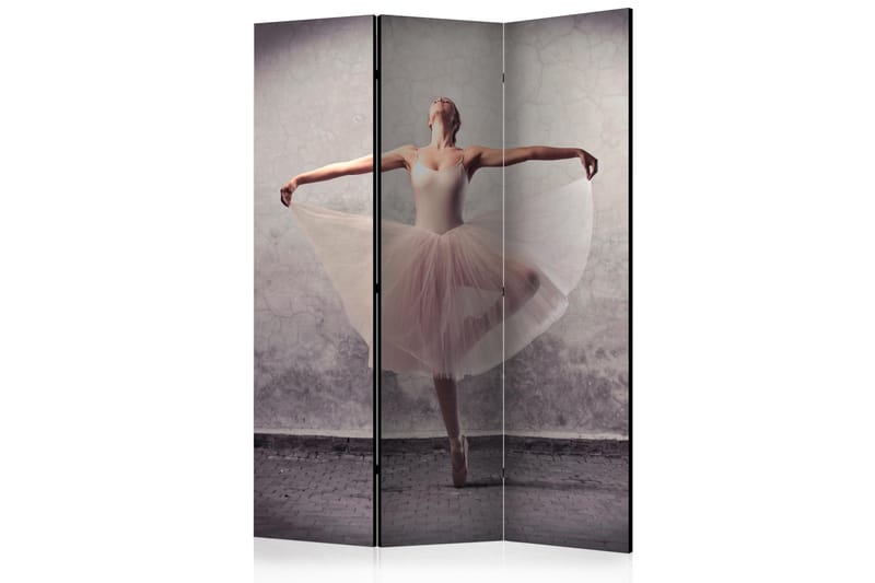RUMSAVDELARE Classical Dance - Poetry 135x172 cm - Artgeist sp. z o. o. - Rumsavdelare