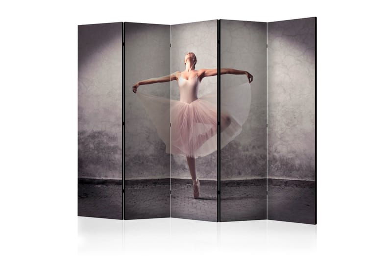 RUMSAVDELARE Classical Dance - Poetry 225x172 cm - Artgeist sp. z o. o. - Rumsavdelare